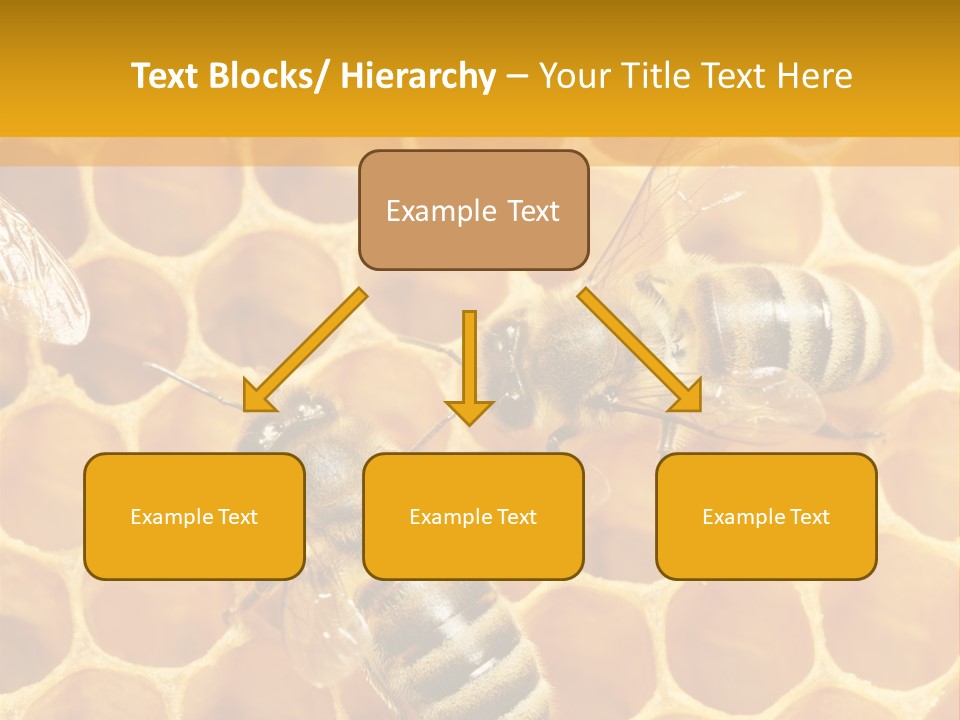 Smart Nonsense Mystery PowerPoint Template