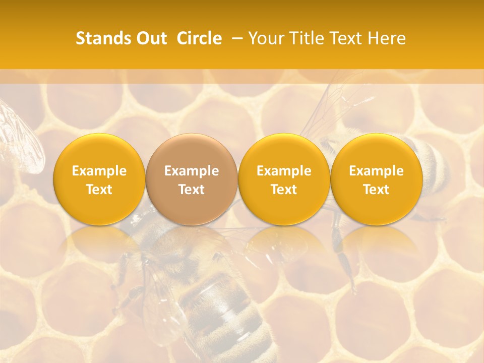 Smart Nonsense Mystery PowerPoint Template