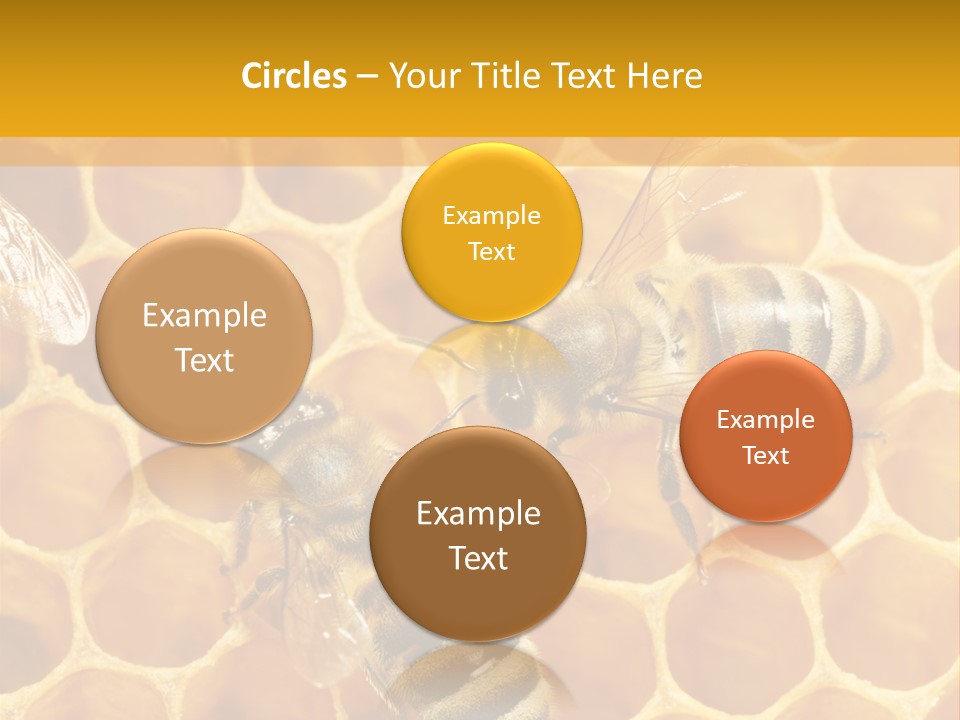 Smart Nonsense Mystery PowerPoint Template