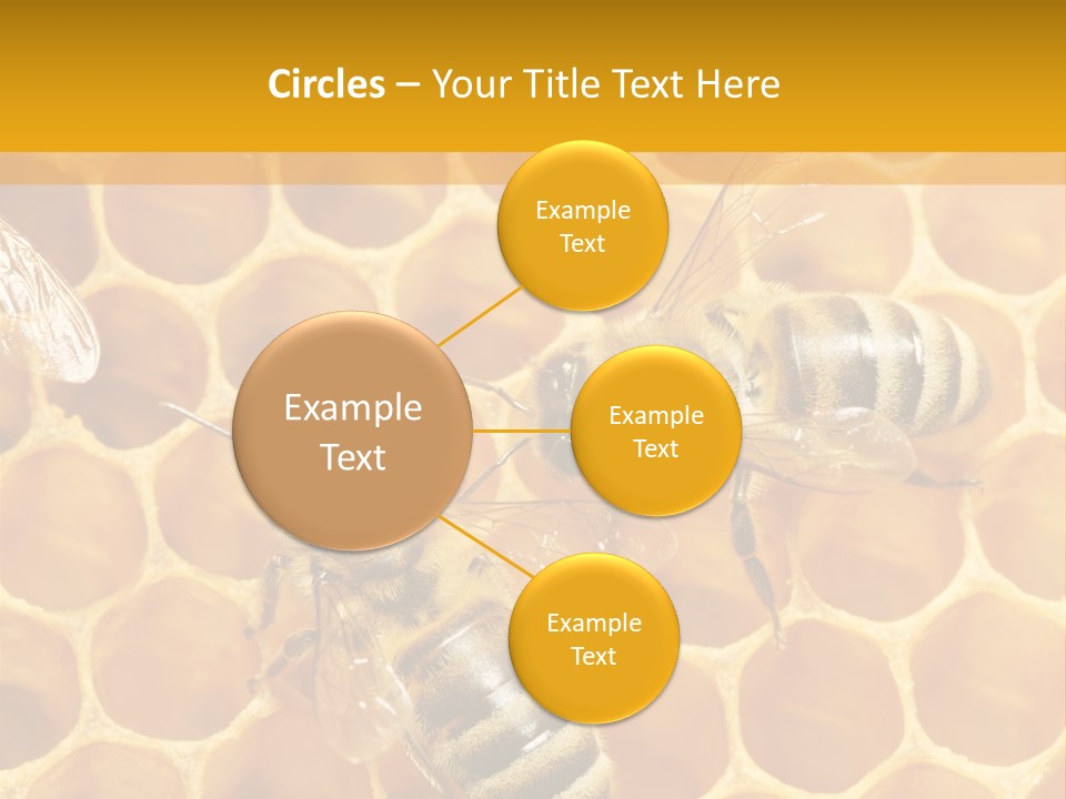 Smart Nonsense Mystery PowerPoint Template