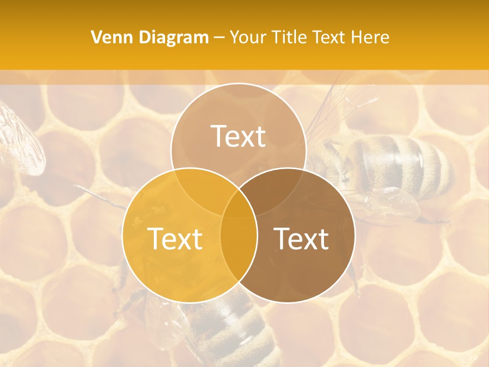 Smart Nonsense Mystery PowerPoint Template