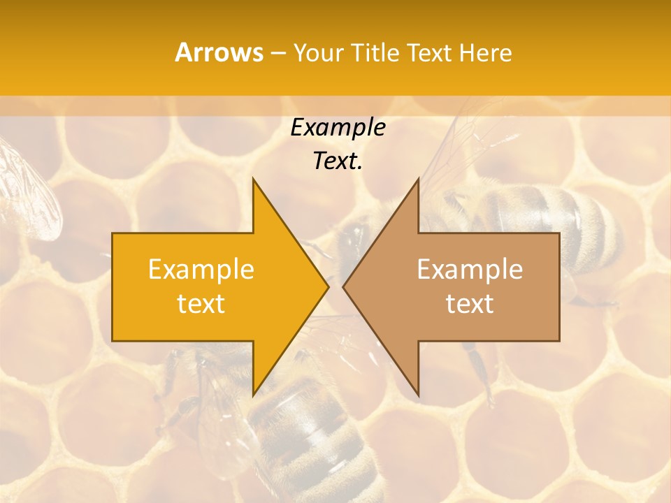 Smart Nonsense Mystery PowerPoint Template