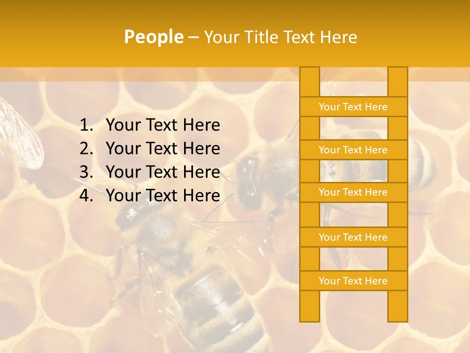 Smart Nonsense Mystery PowerPoint Template