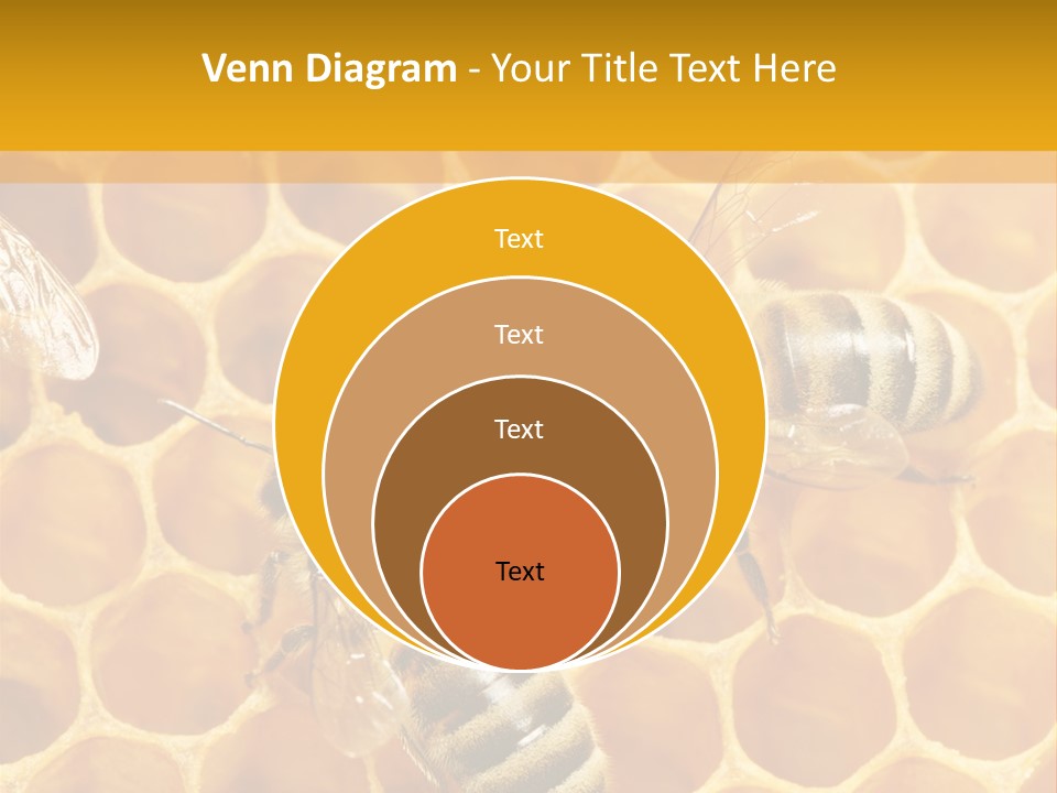 Smart Nonsense Mystery PowerPoint Template