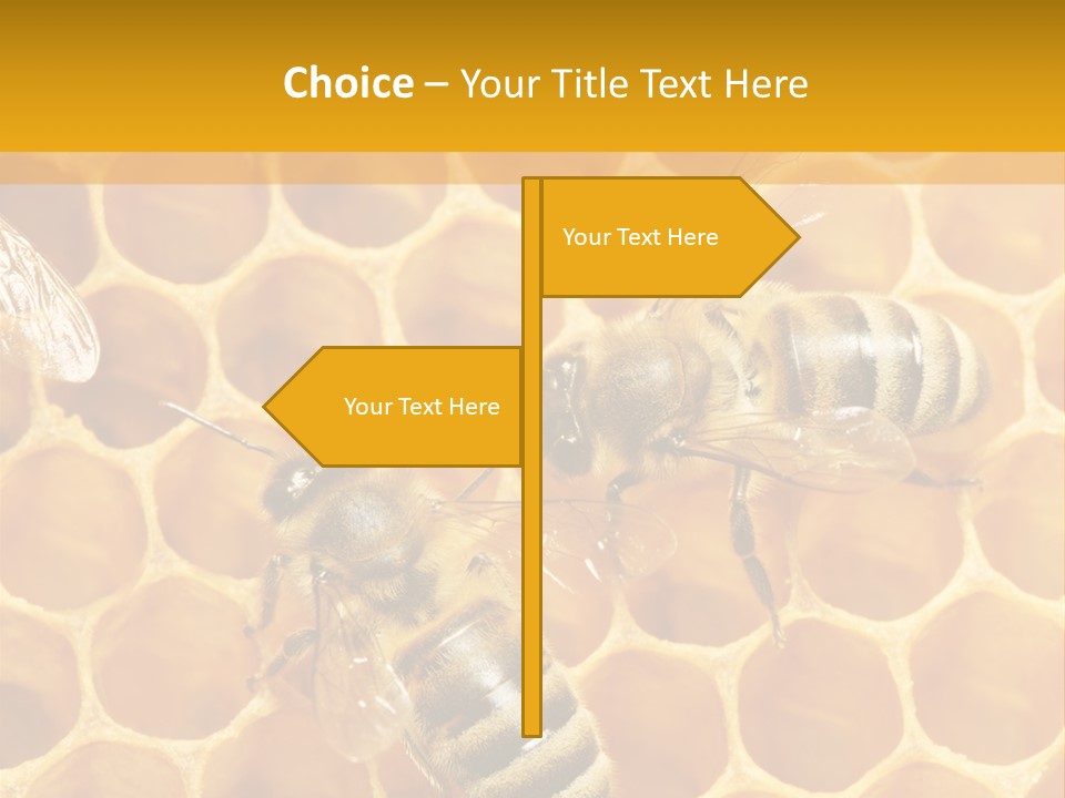 Smart Nonsense Mystery PowerPoint Template