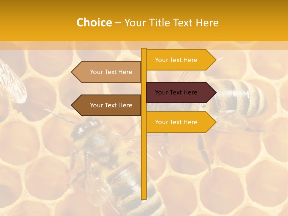 Smart Nonsense Mystery PowerPoint Template