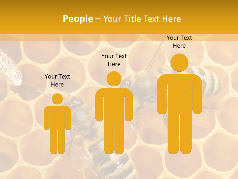 Smart Nonsense Mystery PowerPoint Template