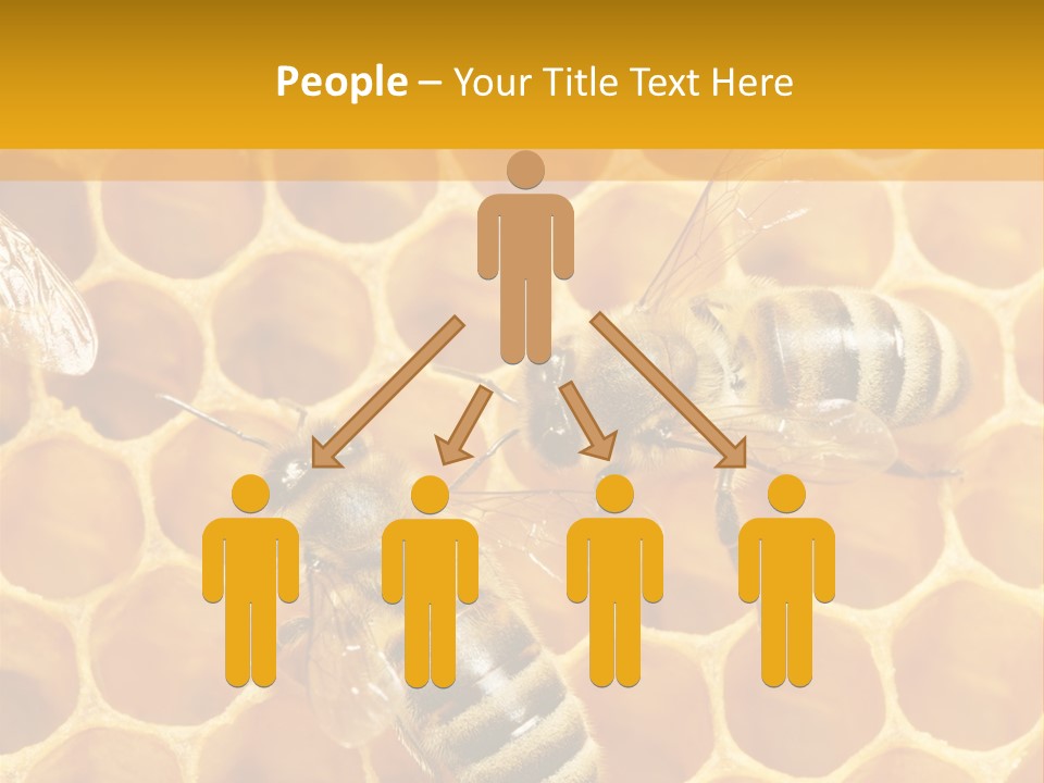 Smart Nonsense Mystery PowerPoint Template