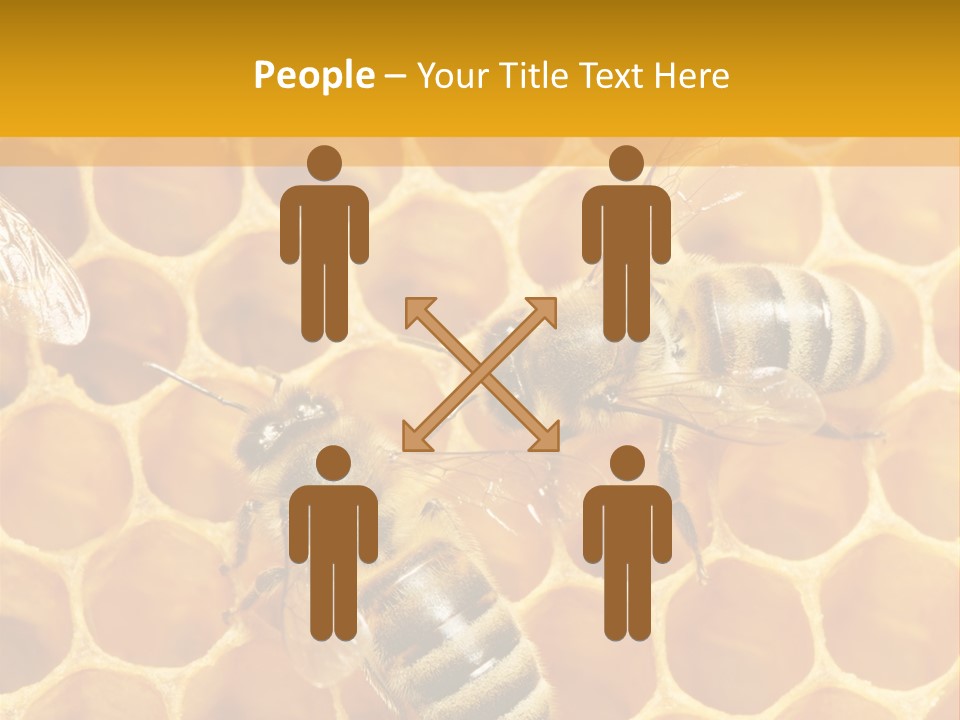 Smart Nonsense Mystery PowerPoint Template