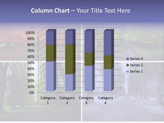 Reverse Ambiguity Eyes PowerPoint Template