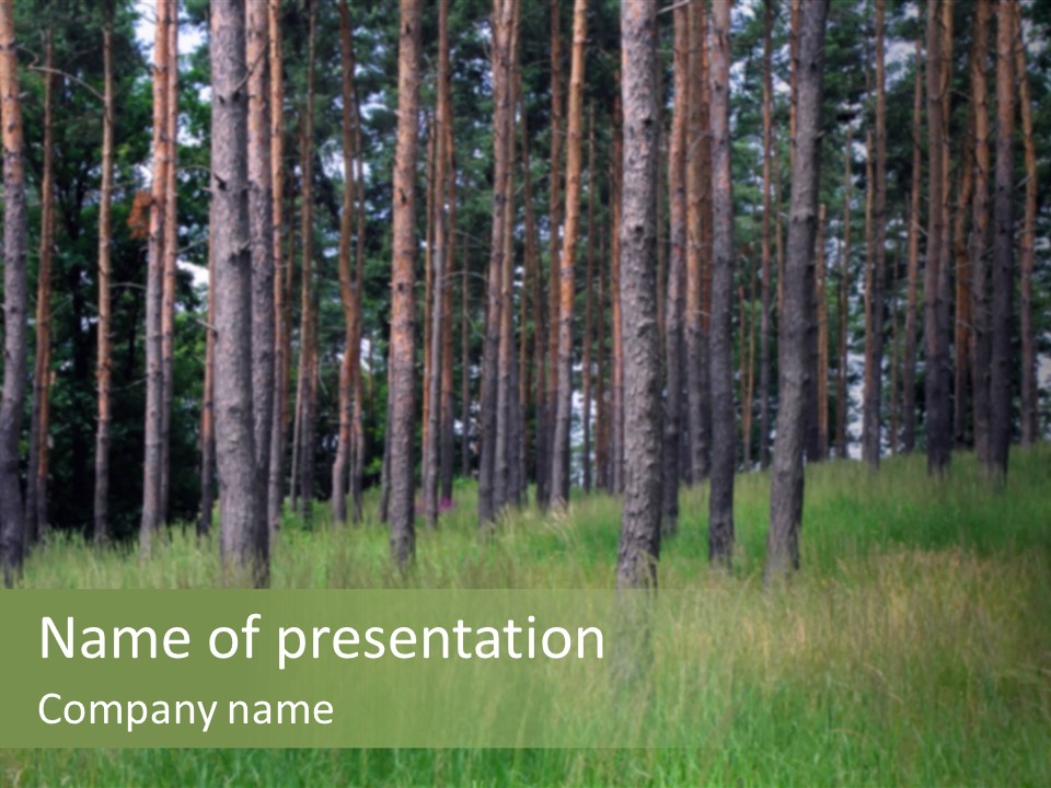 Nonsense Inconsistency Absurdity PowerPoint Template