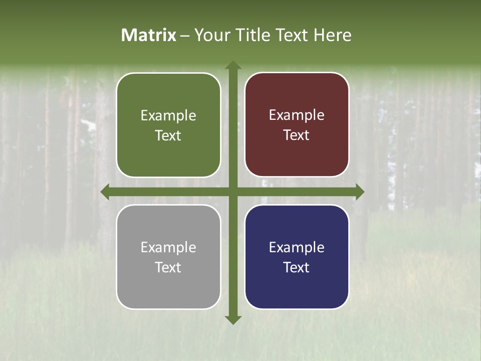 Nonsense Inconsistency Absurdity PowerPoint Template