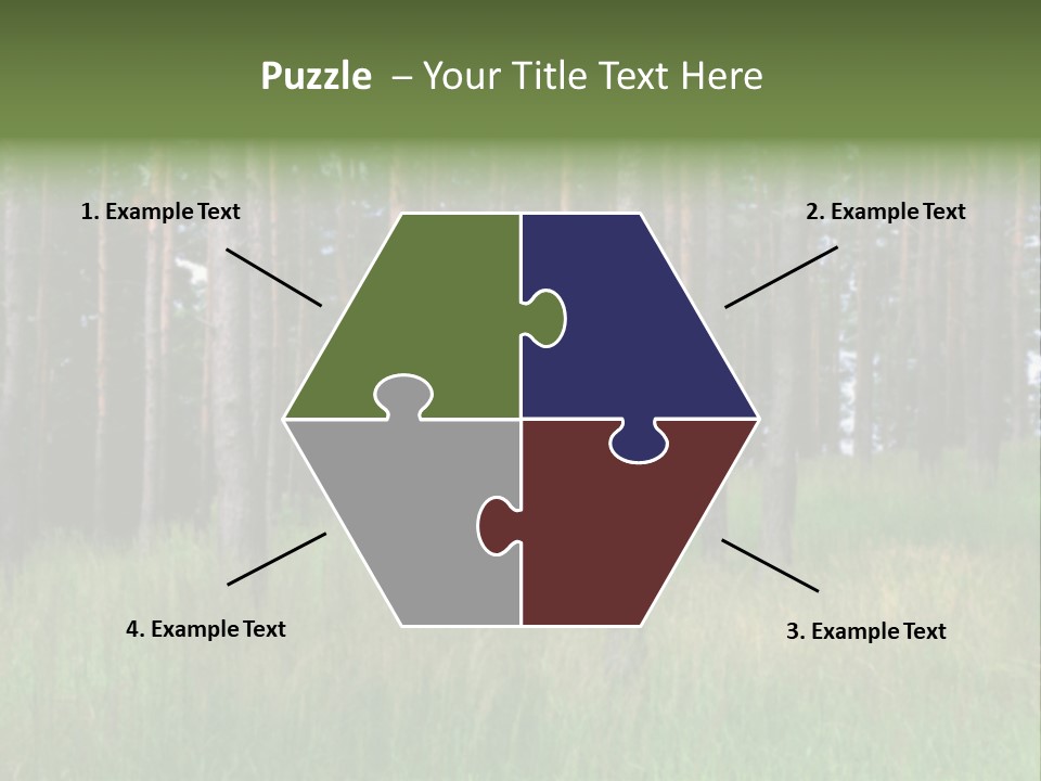 Nonsense Inconsistency Absurdity PowerPoint Template