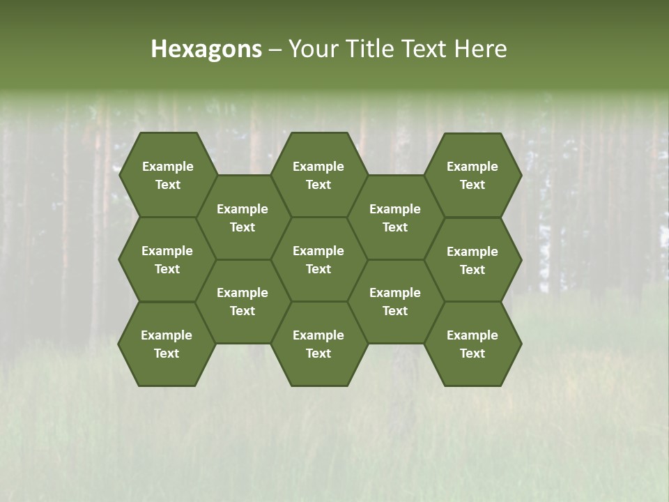 Nonsense Inconsistency Absurdity PowerPoint Template