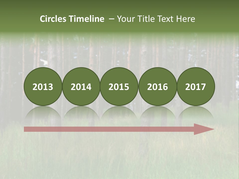 Nonsense Inconsistency Absurdity PowerPoint Template