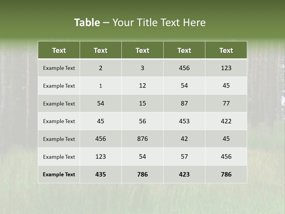 Nonsense Inconsistency Absurdity PowerPoint Template