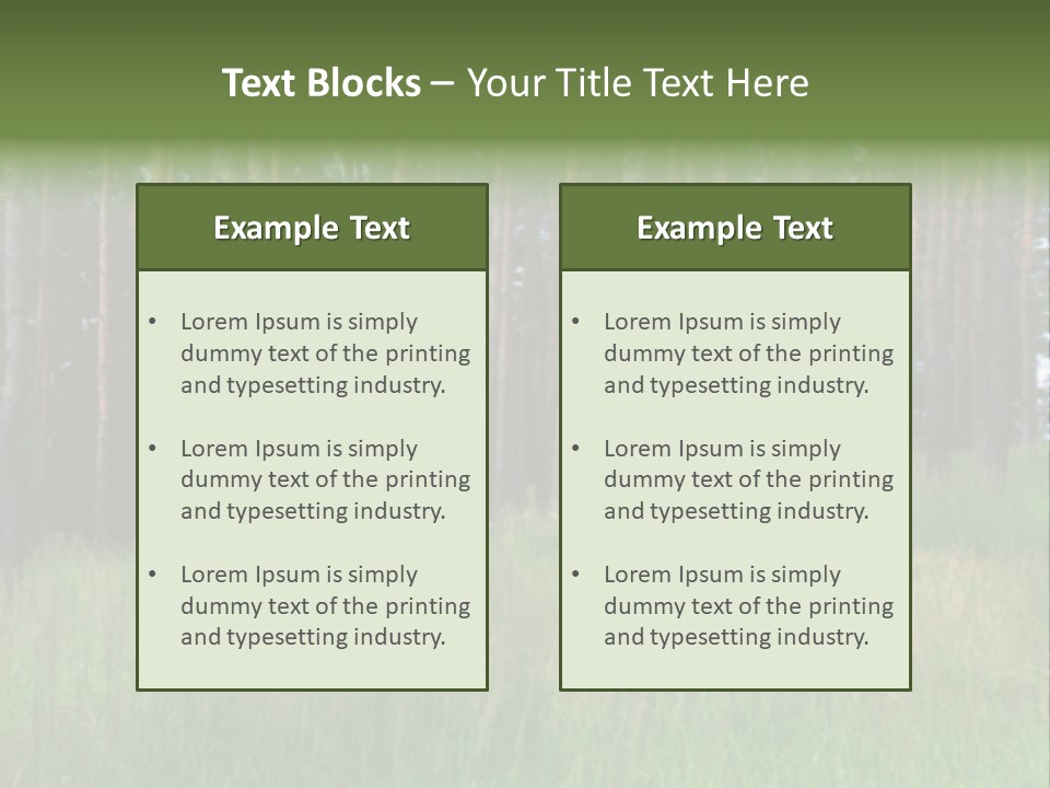 Nonsense Inconsistency Absurdity PowerPoint Template