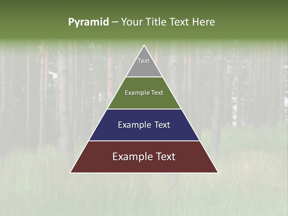 Nonsense Inconsistency Absurdity PowerPoint Template