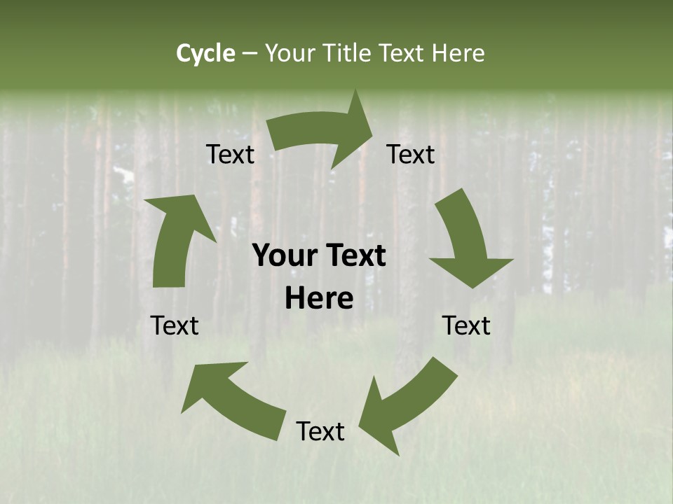 Nonsense Inconsistency Absurdity PowerPoint Template