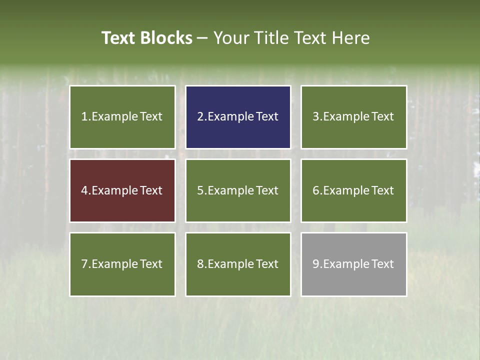 Nonsense Inconsistency Absurdity PowerPoint Template