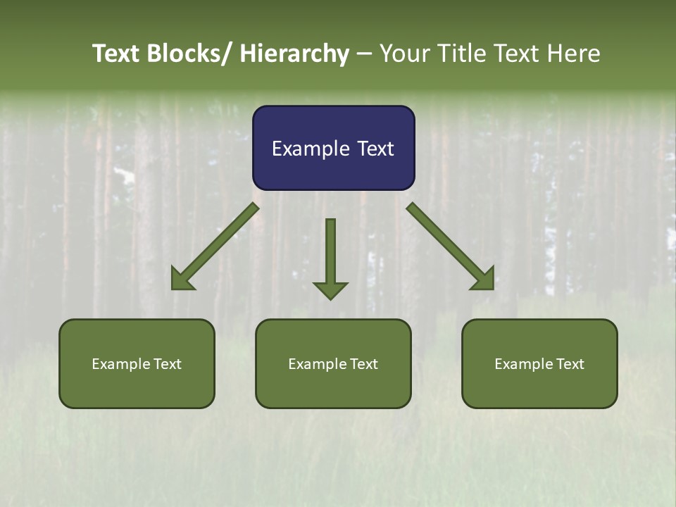 Nonsense Inconsistency Absurdity PowerPoint Template