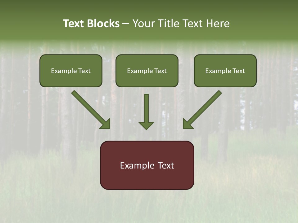 Nonsense Inconsistency Absurdity PowerPoint Template