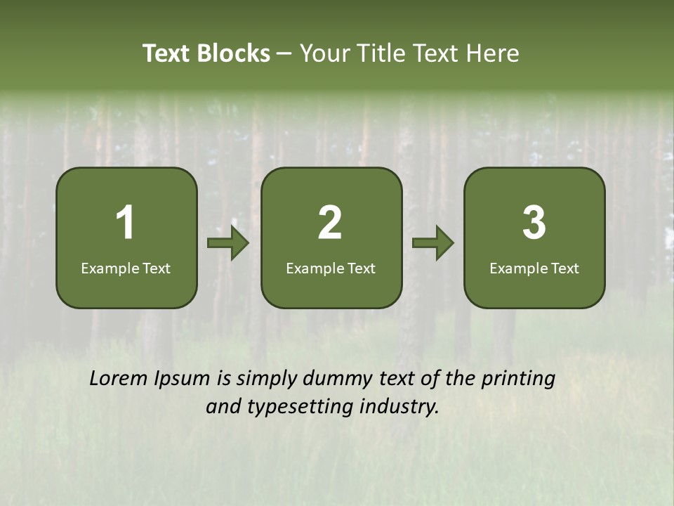 Nonsense Inconsistency Absurdity PowerPoint Template
