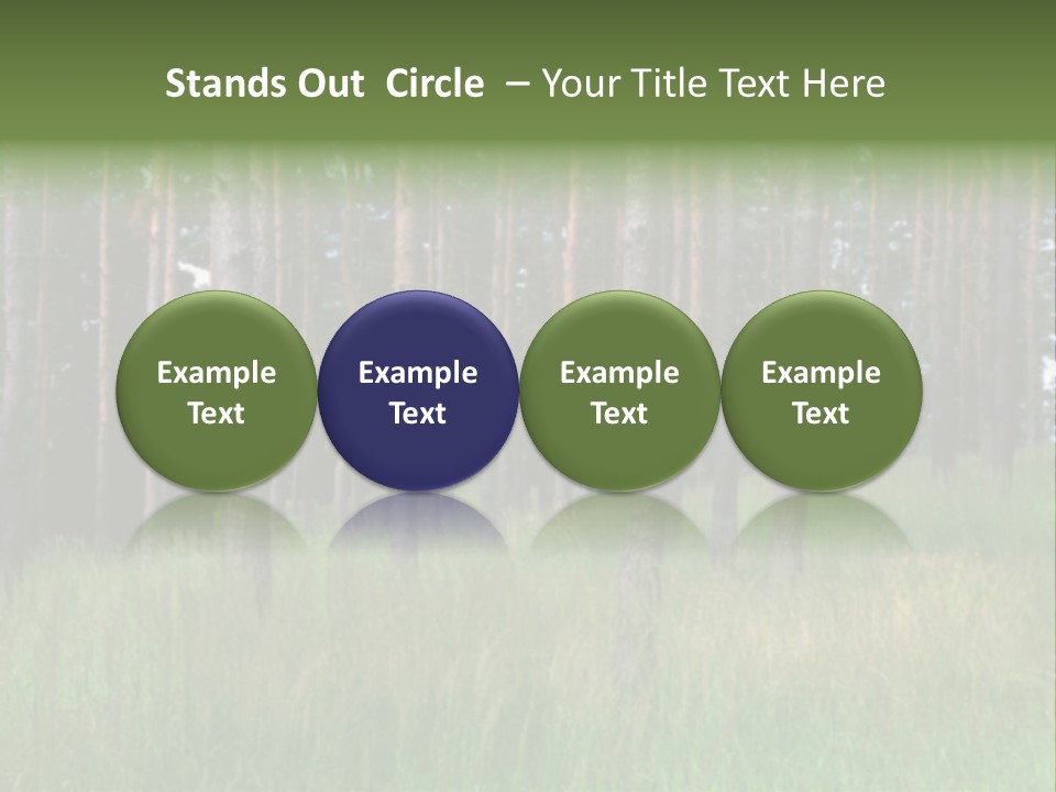 Nonsense Inconsistency Absurdity PowerPoint Template