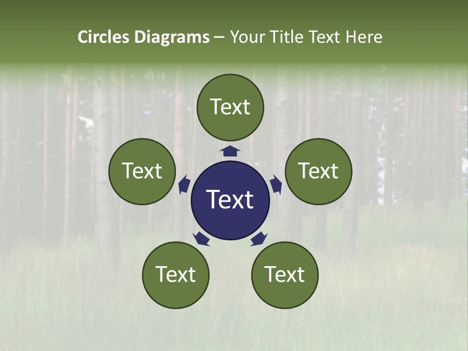 Nonsense Inconsistency Absurdity PowerPoint Template