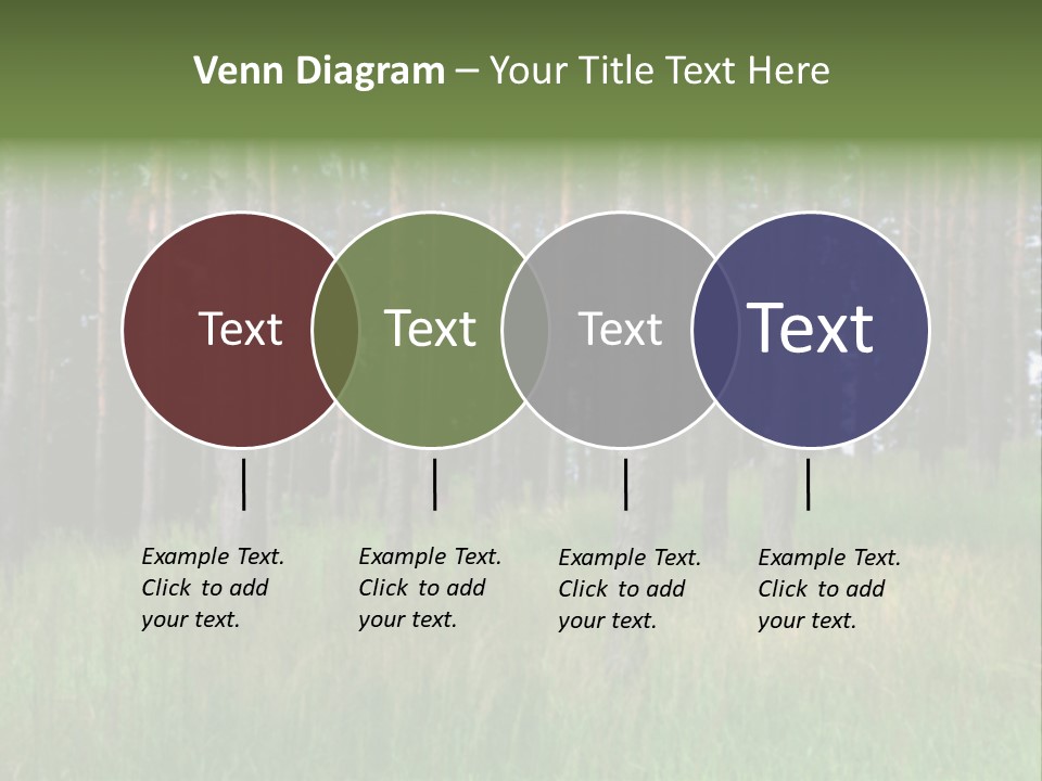 Nonsense Inconsistency Absurdity PowerPoint Template
