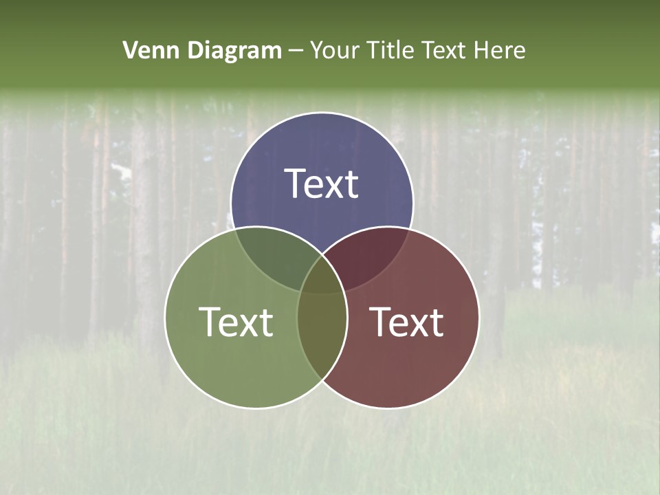 Nonsense Inconsistency Absurdity PowerPoint Template