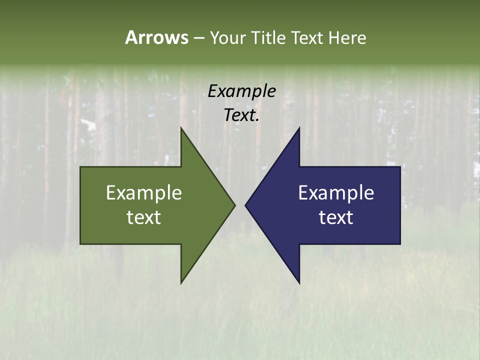 Nonsense Inconsistency Absurdity PowerPoint Template