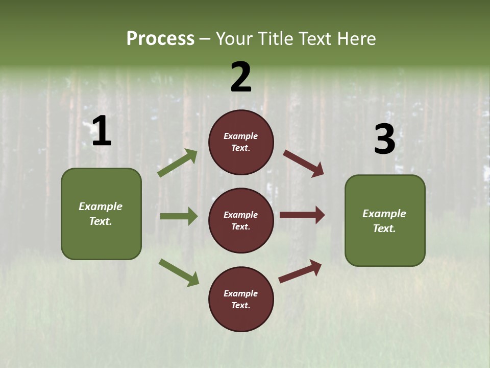 Nonsense Inconsistency Absurdity PowerPoint Template
