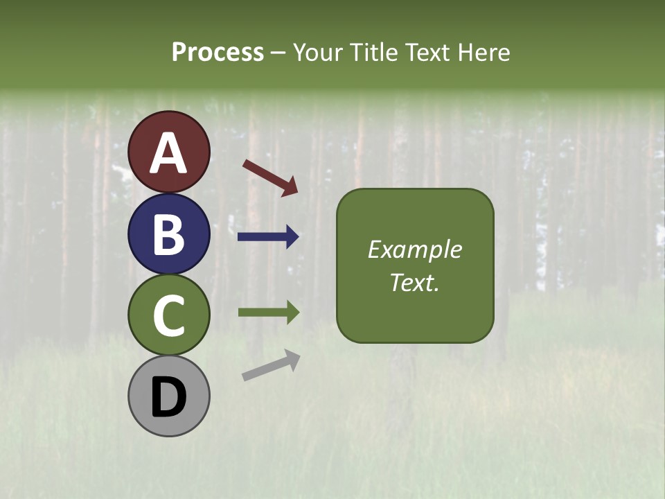 Nonsense Inconsistency Absurdity PowerPoint Template