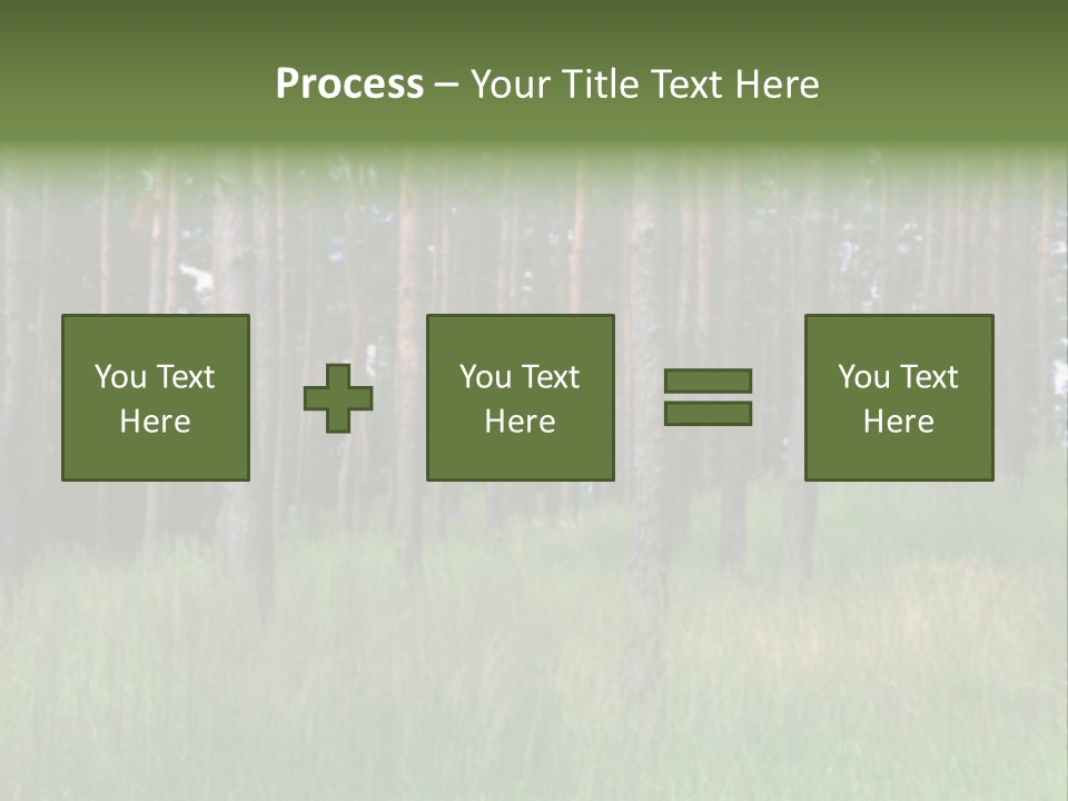 Nonsense Inconsistency Absurdity PowerPoint Template