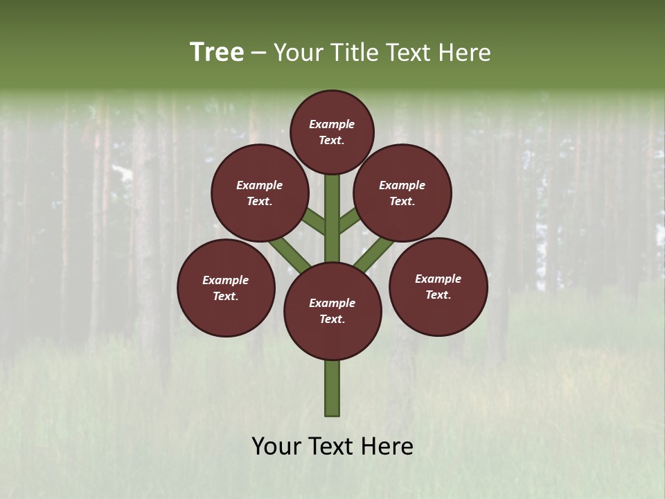 Nonsense Inconsistency Absurdity PowerPoint Template