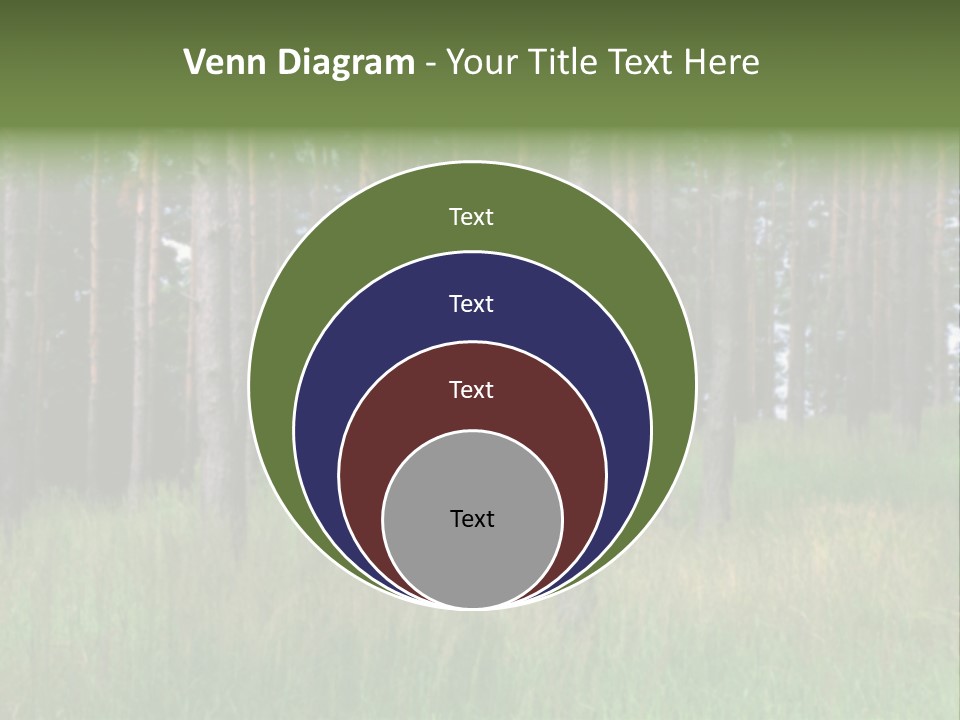 Nonsense Inconsistency Absurdity PowerPoint Template