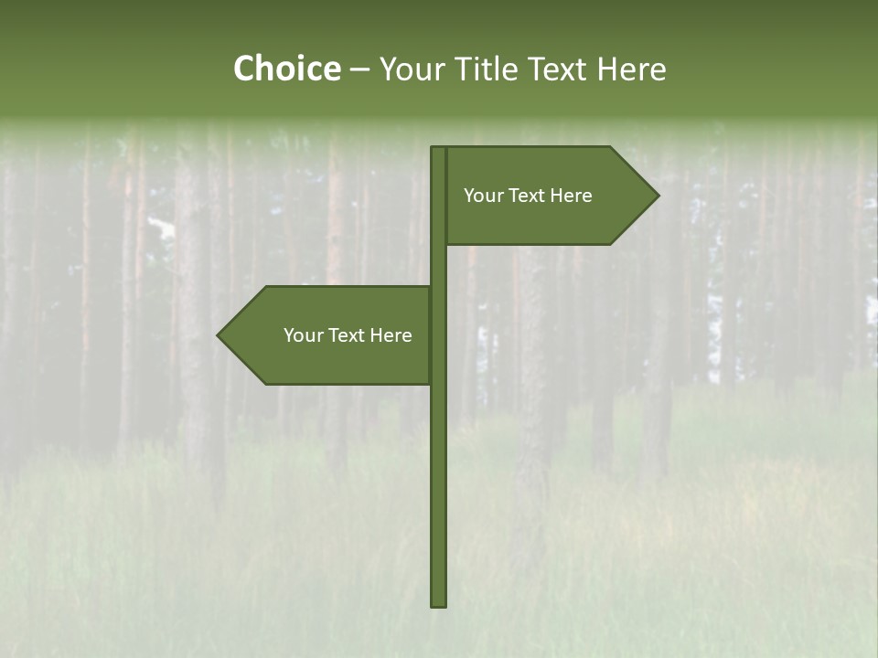 Nonsense Inconsistency Absurdity PowerPoint Template