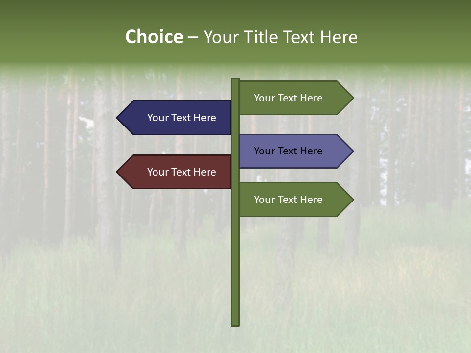 Nonsense Inconsistency Absurdity PowerPoint Template