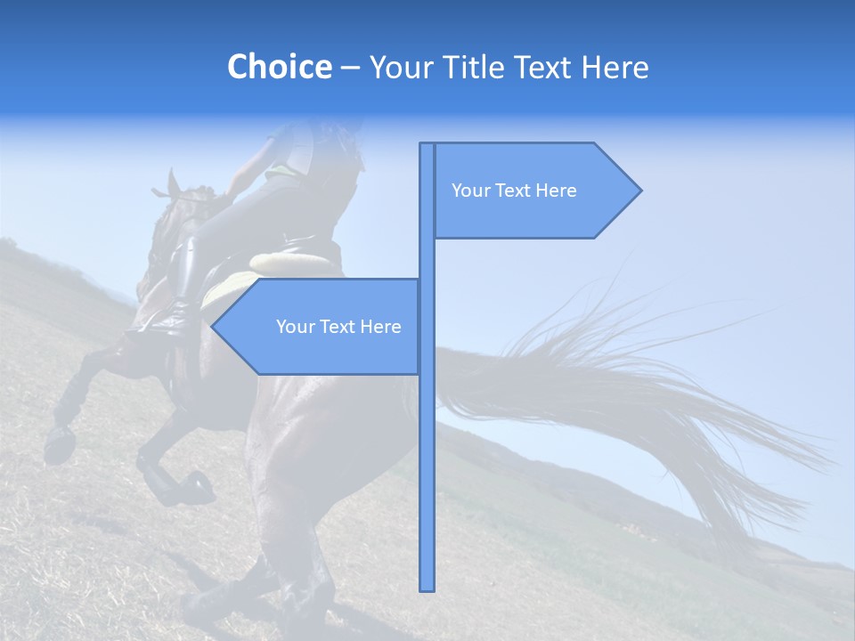 Catch Male Intj PowerPoint Template