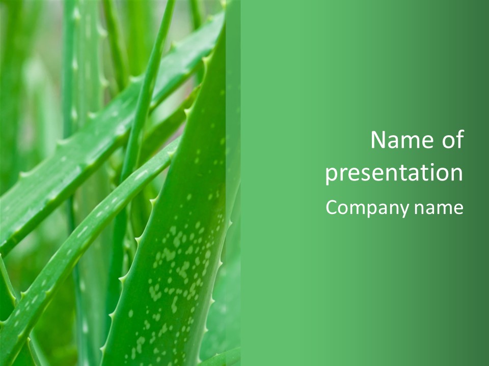 Never Oddity Opposite PowerPoint Template