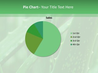Never Oddity Opposite PowerPoint Template