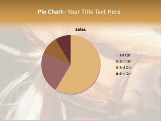 Unlimited Inconsistency Oddity PowerPoint Template