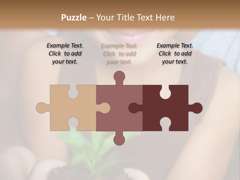 Coil Delusional Absurdity PowerPoint Template