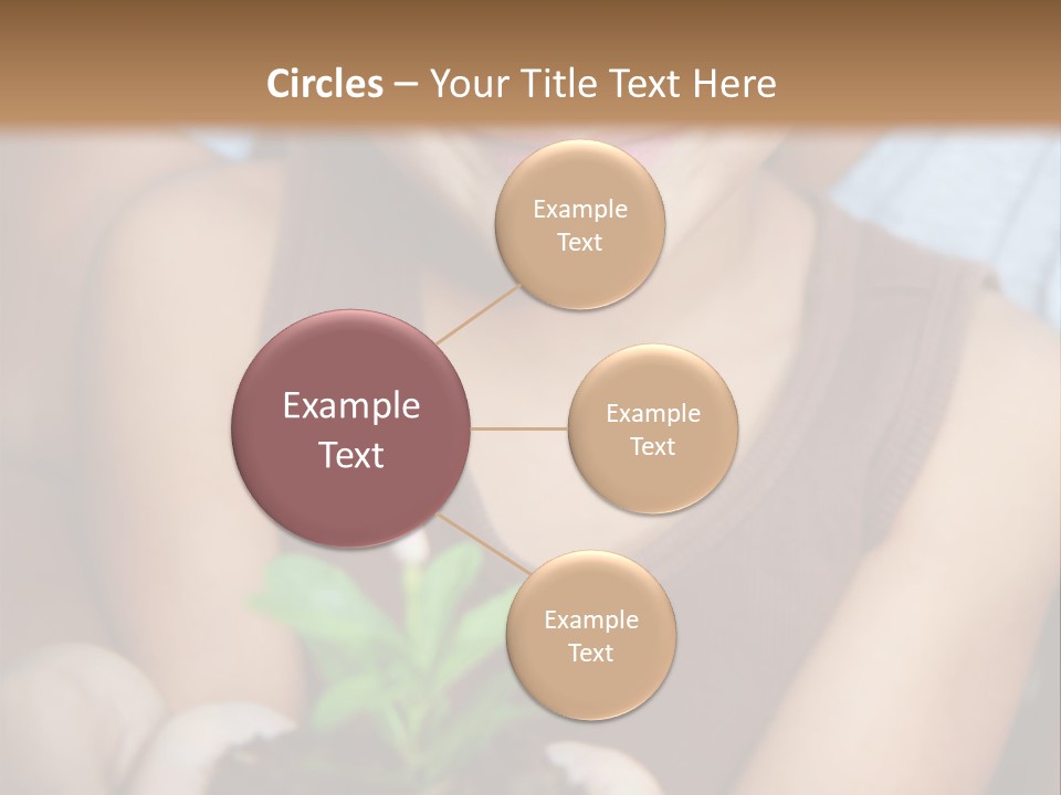 Coil Delusional Absurdity PowerPoint Template