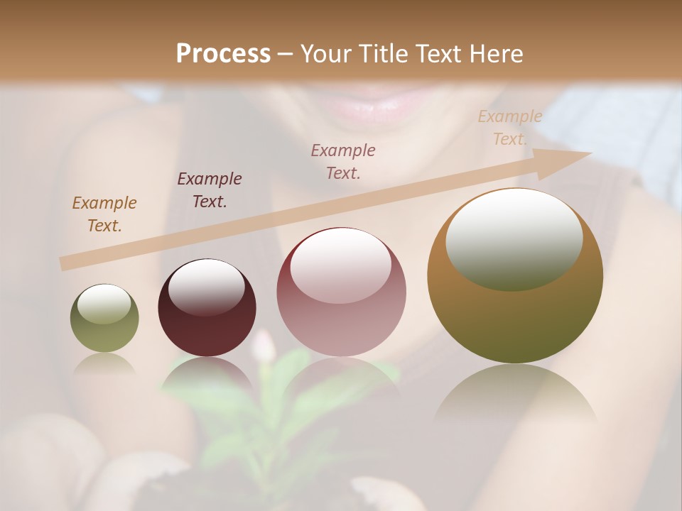 Coil Delusional Absurdity PowerPoint Template