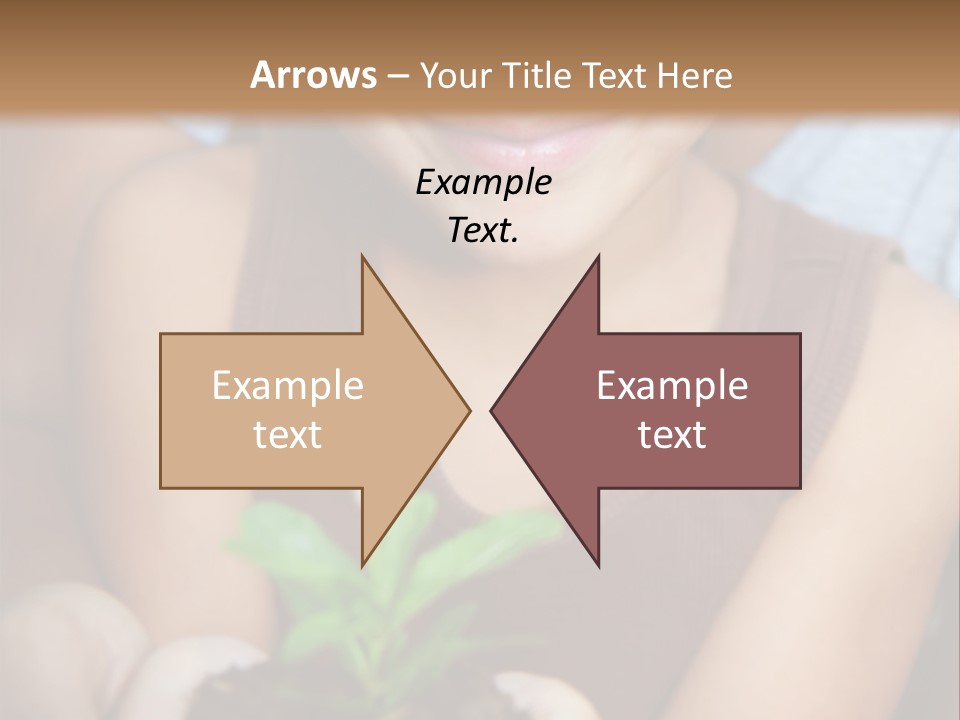 Coil Delusional Absurdity PowerPoint Template