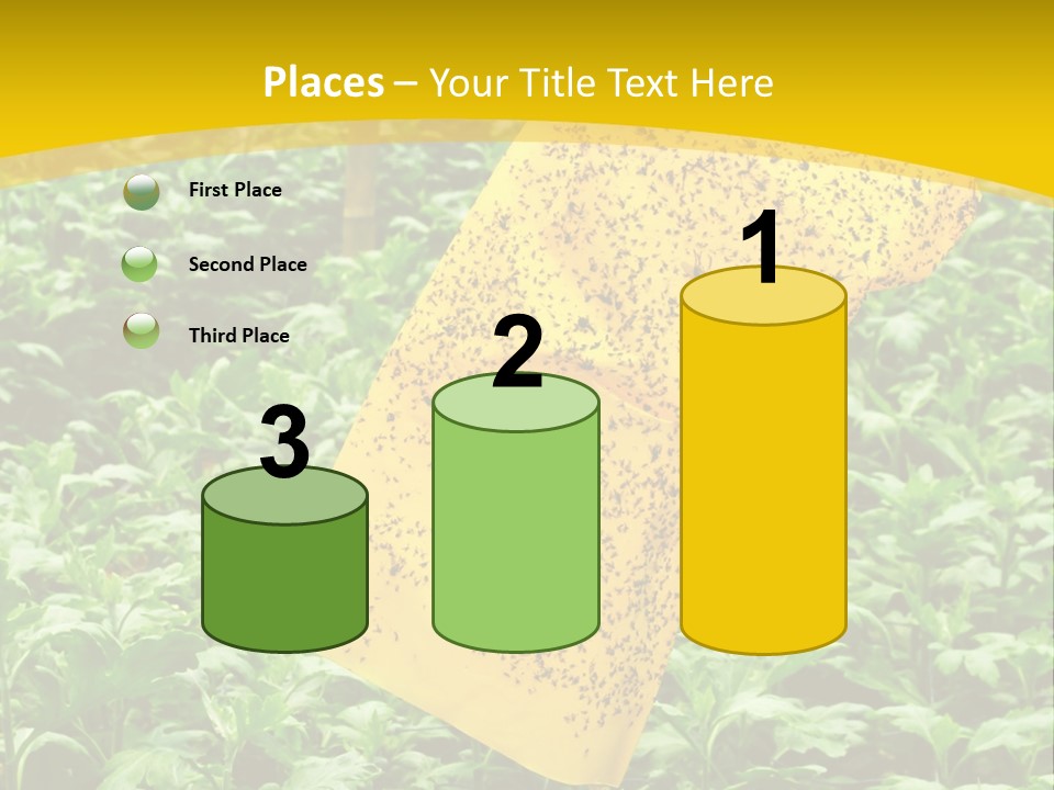 Enigma Mystery Inconsistency PowerPoint Template