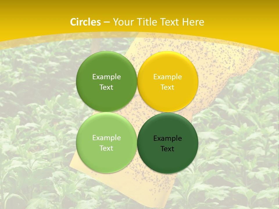 Enigma Mystery Inconsistency PowerPoint Template