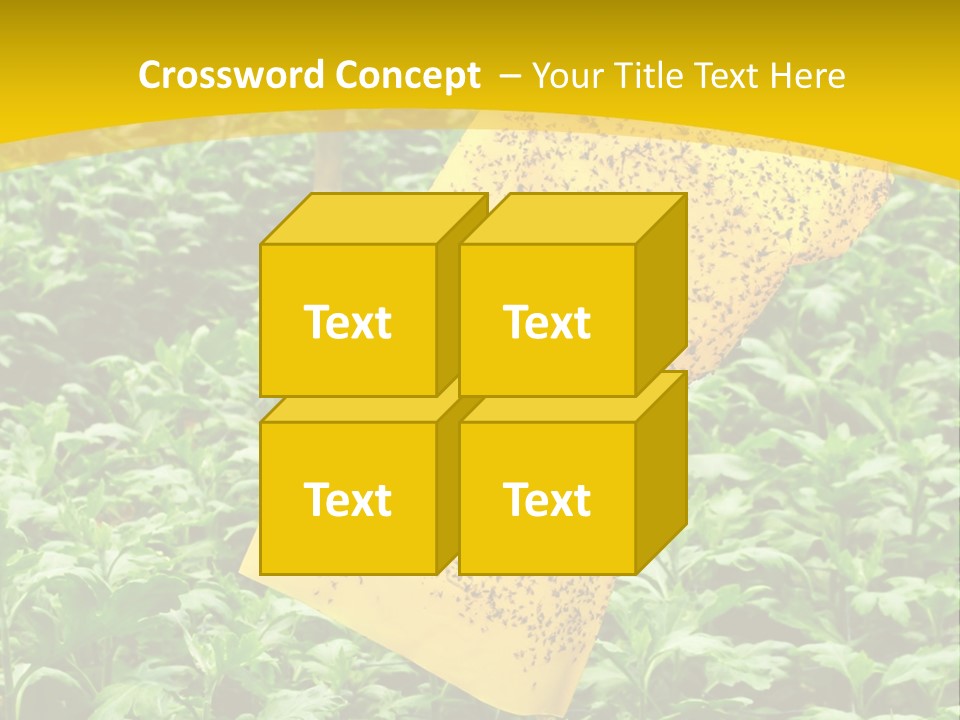 Enigma Mystery Inconsistency PowerPoint Template